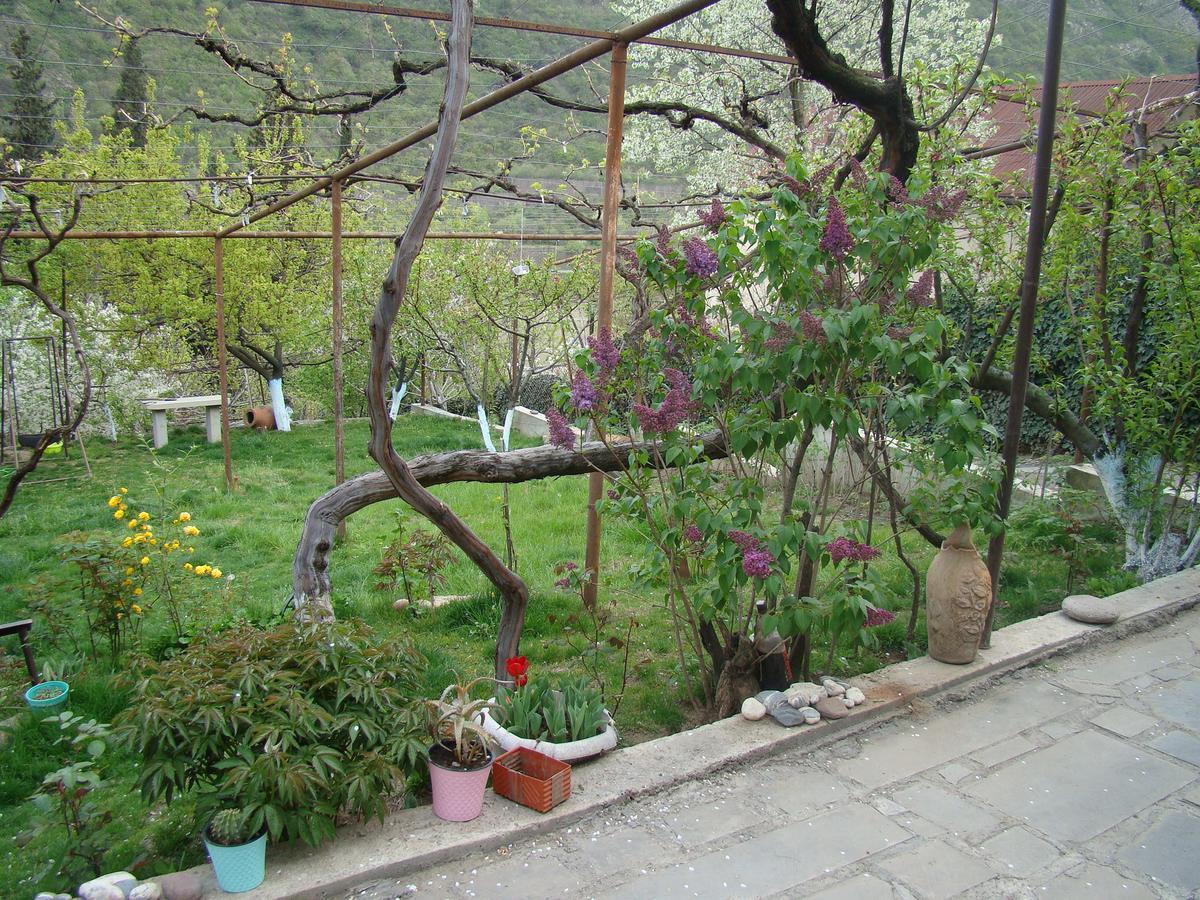 Guest House Ucha Mtsʼkhetʼa Dış mekan fotoğraf