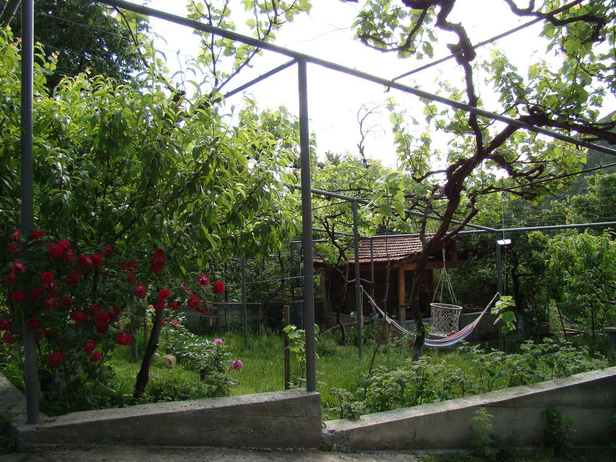 Guest House Ucha Mtsʼkhetʼa Dış mekan fotoğraf