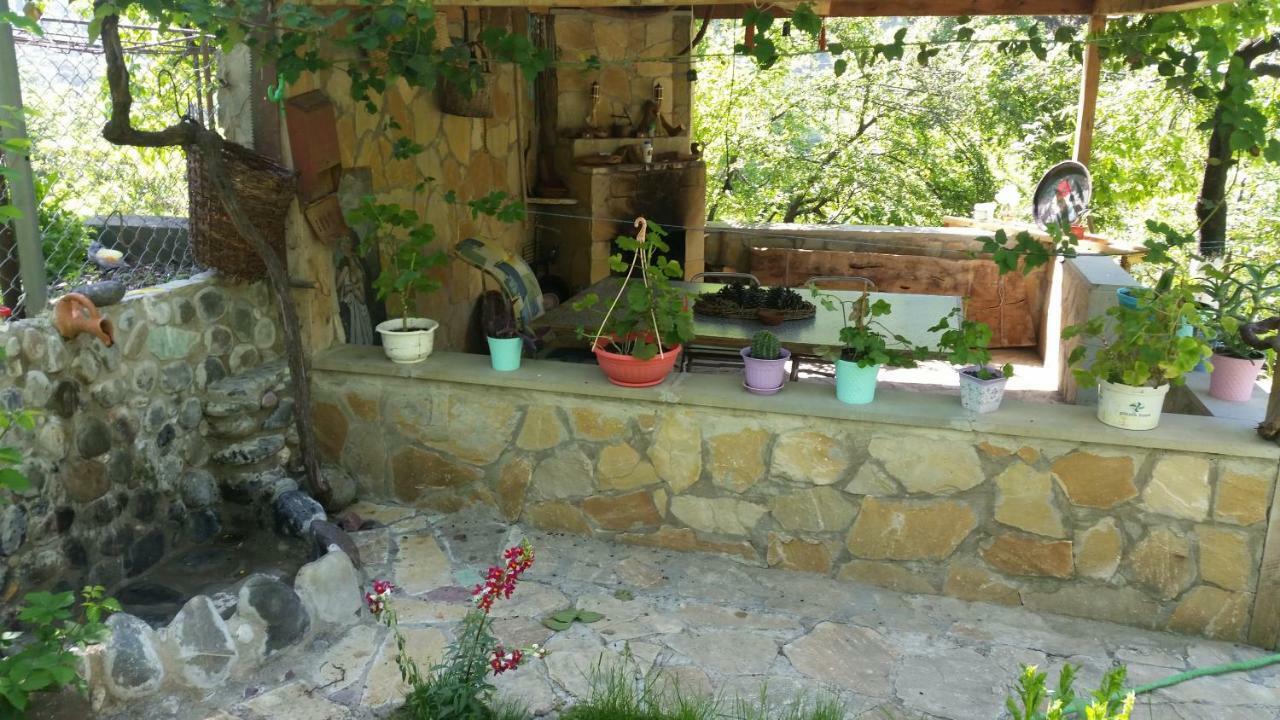 Guest House Ucha Mtsʼkhetʼa Dış mekan fotoğraf