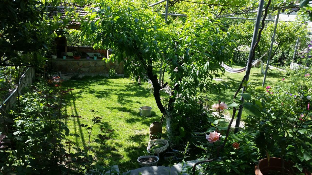 Guest House Ucha Mtsʼkhetʼa Dış mekan fotoğraf