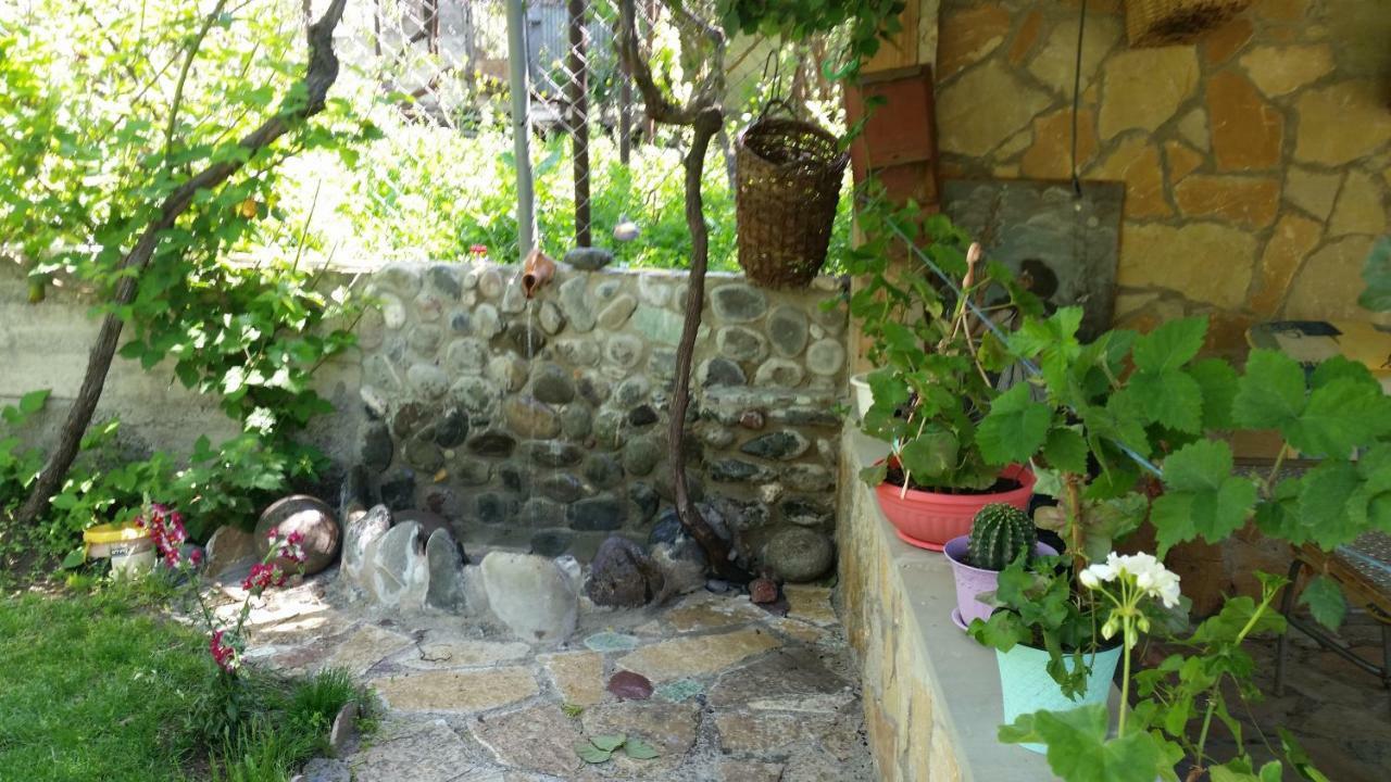 Guest House Ucha Mtsʼkhetʼa Dış mekan fotoğraf