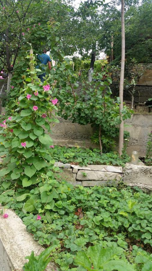 Guest House Ucha Mtsʼkhetʼa Dış mekan fotoğraf